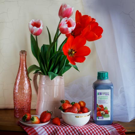 Fulvochelate - cтимулятор роста и плодоношения Fulvochelate - cтимулятор роста и плодоношения