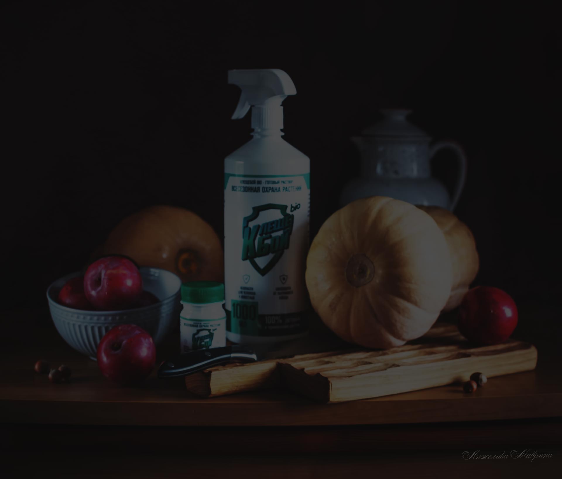 Разведение клубники через маточные кусты для улучшения качества срезки Разведение клубники через маточные кусты для улучшения качества срезки