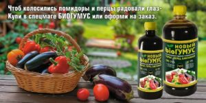 Чтоб колосились помидоры и перцы радовали глаз...