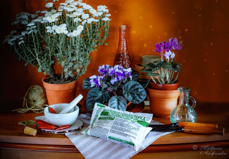 Доломитовая мука или известь: какой раскислитель выбрать для вашего сада? Доломитовая мука или известь что лучше