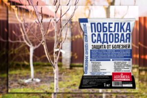 Защита плодовых деревьев