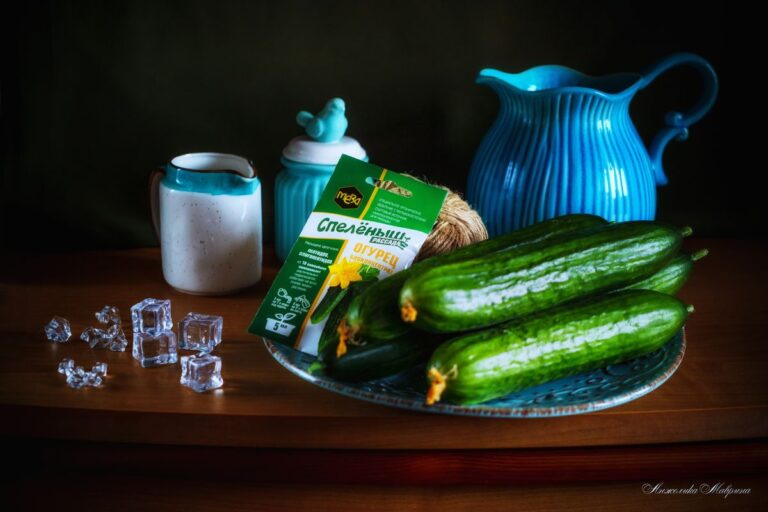 Экологичное выращивание рассады огурцов: путь к здоровому урожаю выращивание рассады огурцов