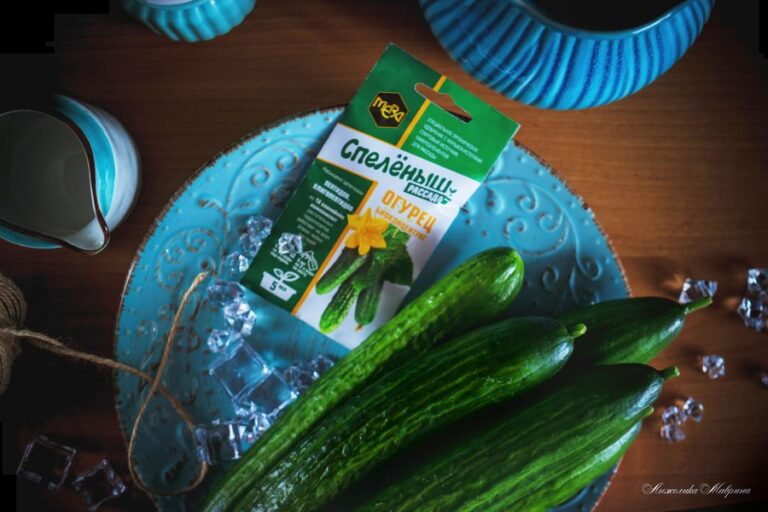 Подготовка семян огурцов к посеву: секреты успешных всходов Подготовка семян огурцов к посеву: секреты успешных всходов