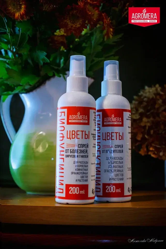 Советы по посадке и уходу за луковичными дома: как сохранить красоту и яркость цветения